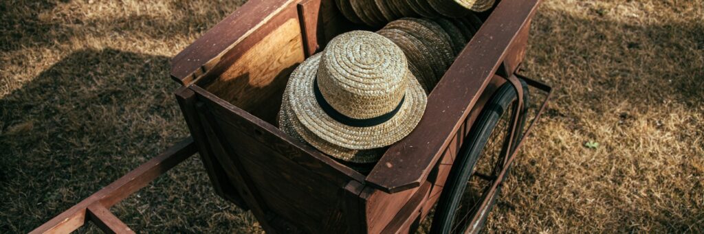 cart1
